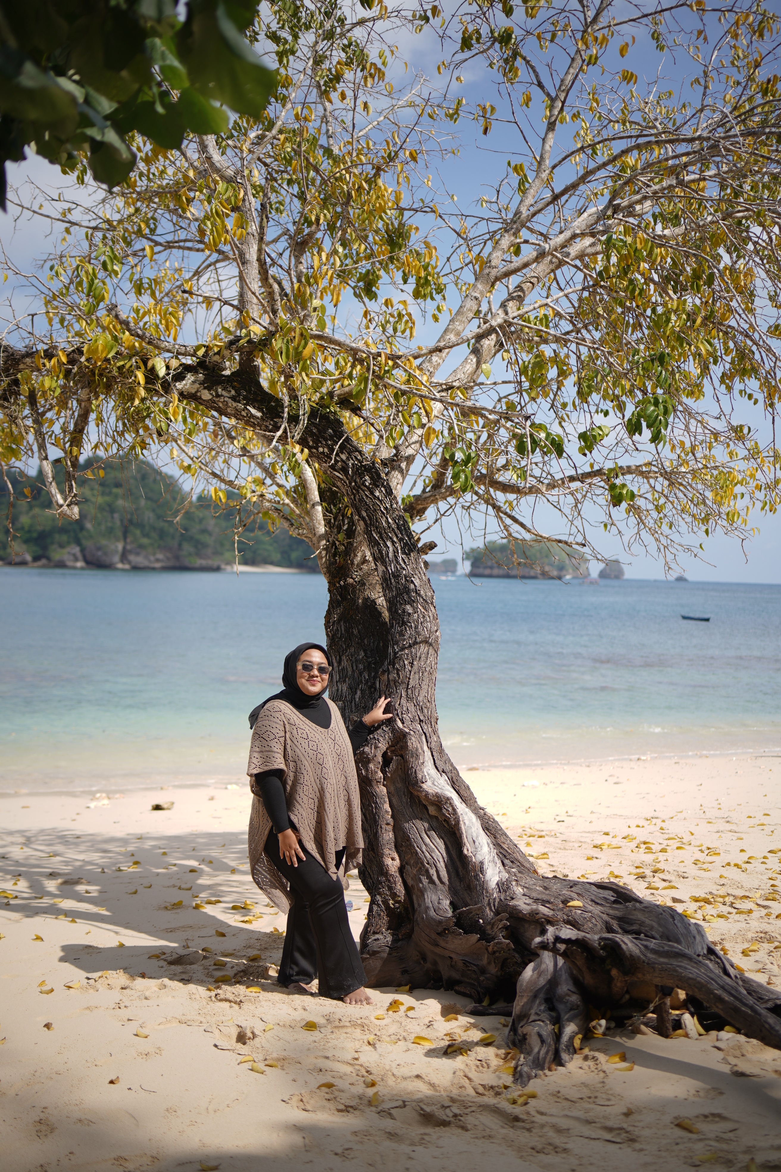 Pantai tanjung penyu